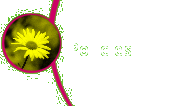 Policies